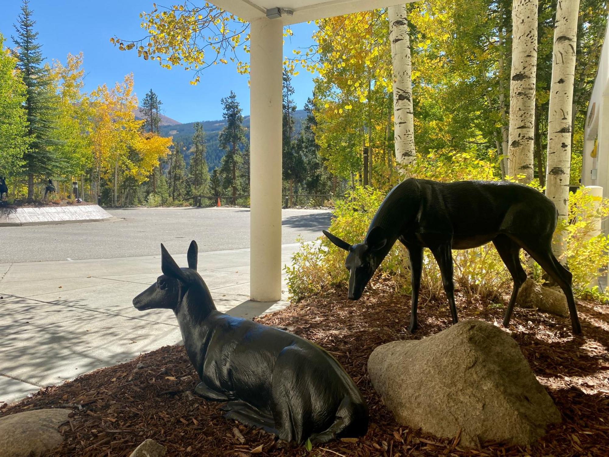 Wild Irishman 1043 By Summitcove Lodging Keystone Bagian luar foto
