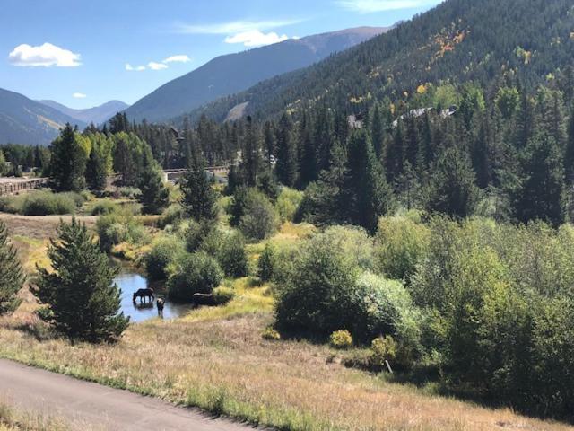 Wild Irishman 1043 By Summitcove Lodging Keystone Bagian luar foto